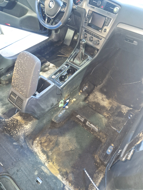 Schimmel im Auto professionell entfernen Waschman